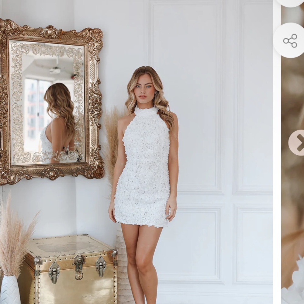 NWT Untamed Petals mini dress- size small!